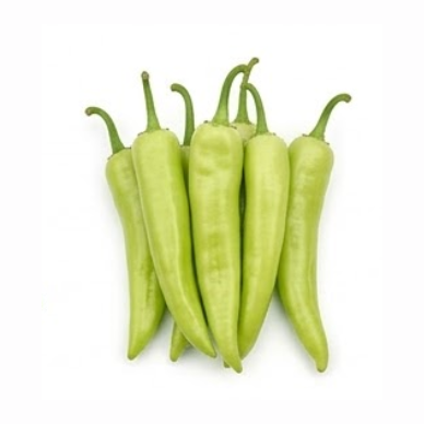 Beans (Pencil)